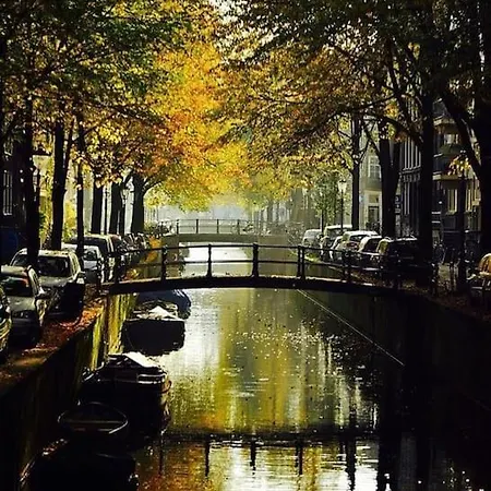 Private Studio In The Citycenter And Yet Quiet Amsterdam